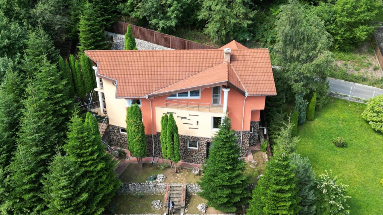Marble Villa: Luxury Estate - Central But Intimate 시나이아 외부 사진